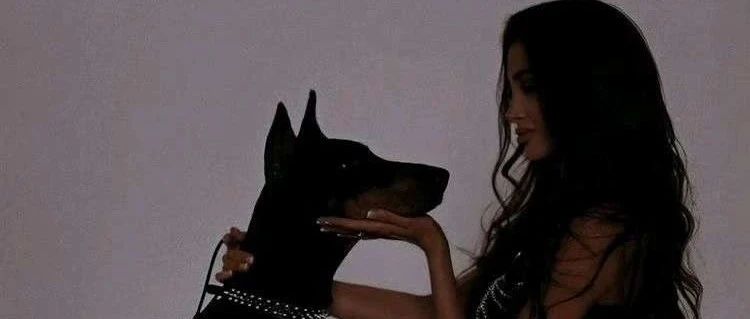 进入圈子还需要签合约？